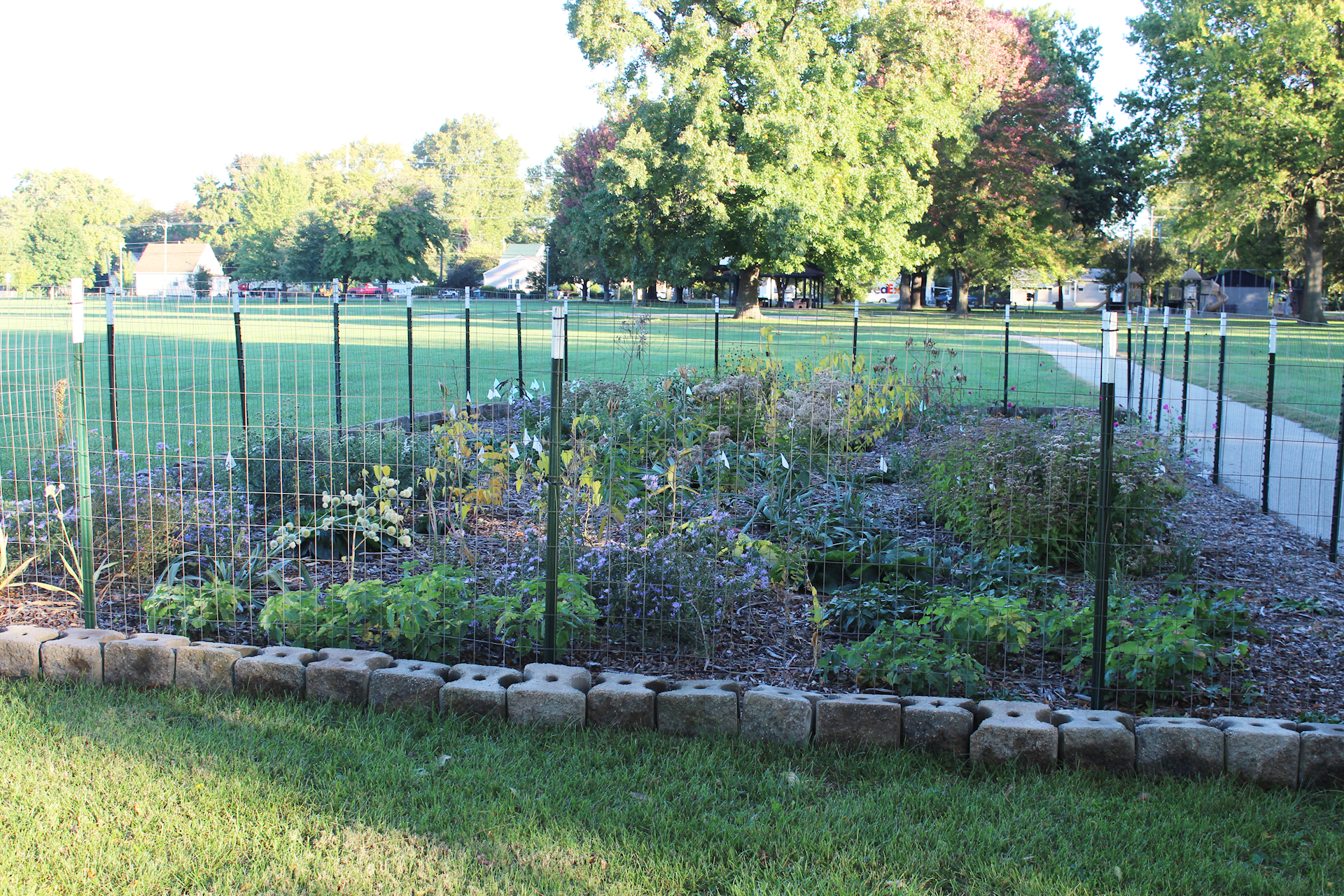 pollinator garden