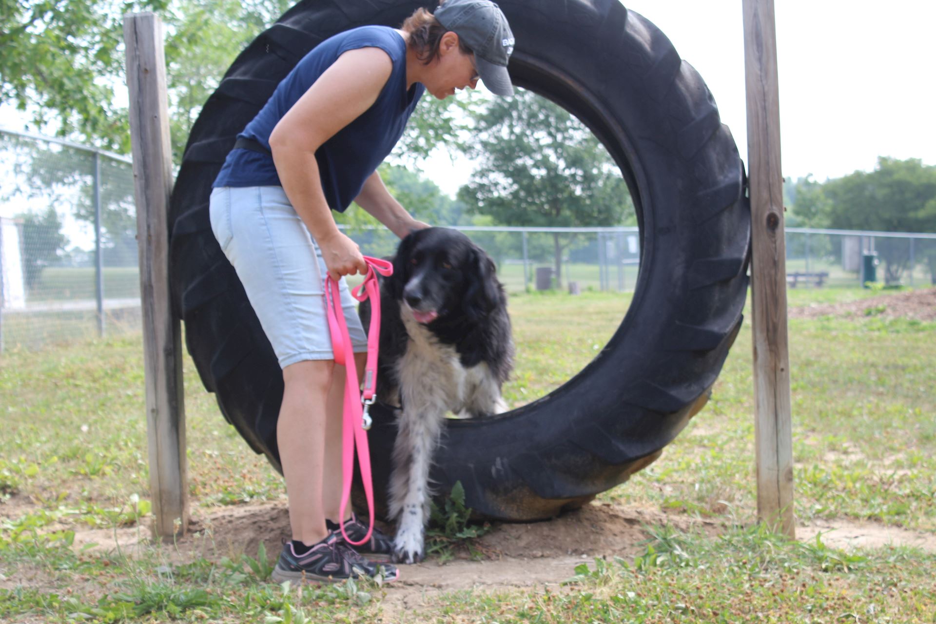stuart park dog park