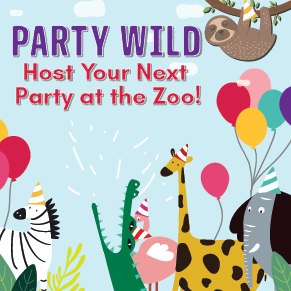 party_wild_at_zoo_animals_image
