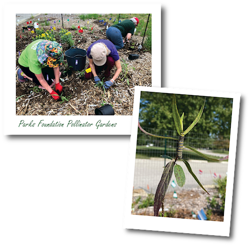 Workers at one of the Parks Foundation Pollinator Gardens.