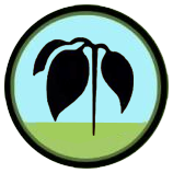 poison_ivy_icon