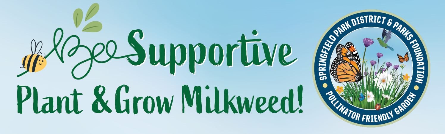 Bee Supportive: Plant and Grow Milkweed