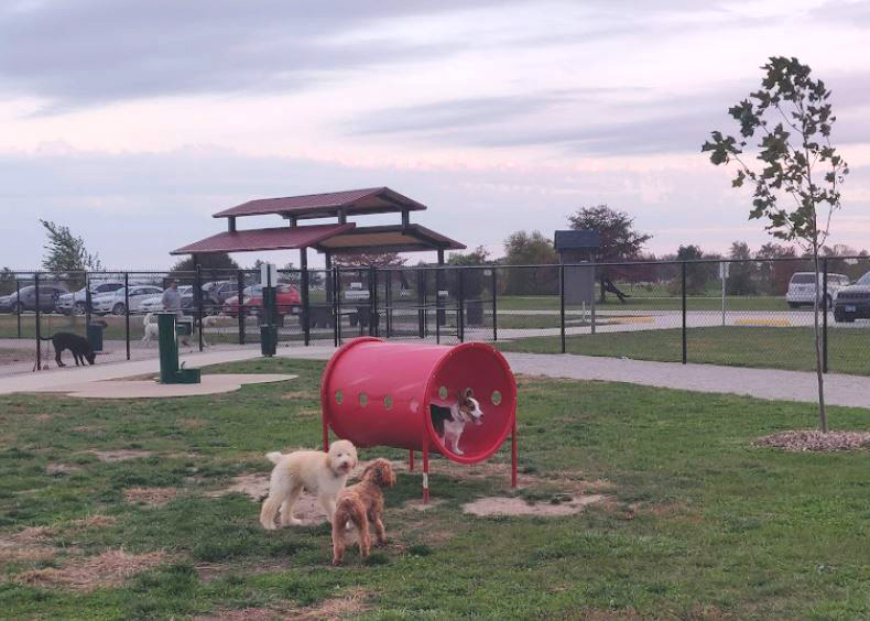 Centennial_dog_park_small_dog_side