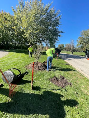 tree_planting_at_bunn_golf_course_summer_2021