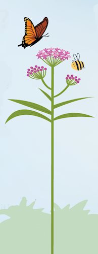 pollinator garden milkweed and monarch graphic