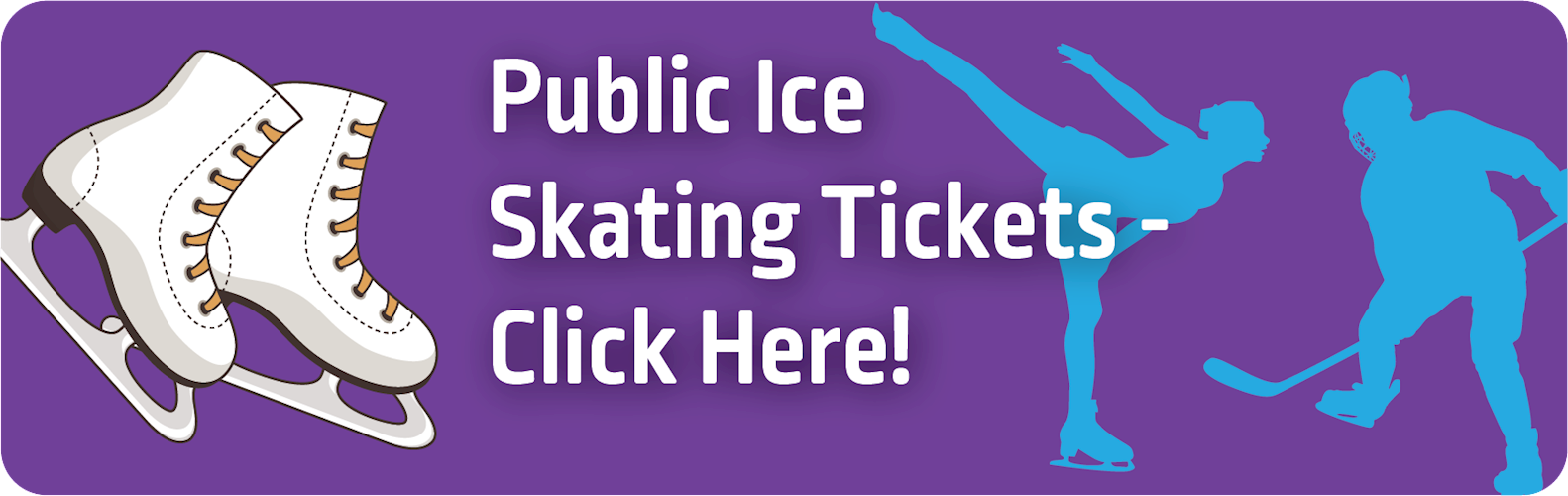 nelson center access to online public skate tickets