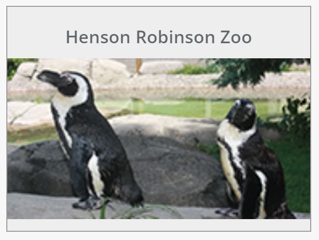 Henson_Robinson_Zoo_penguins_online_button