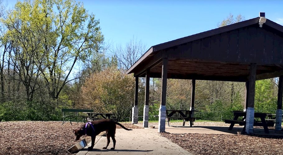 stuart_park_dog_run_picnic_shelter