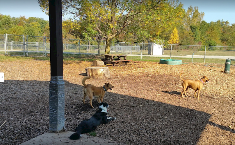 stuart park dog park