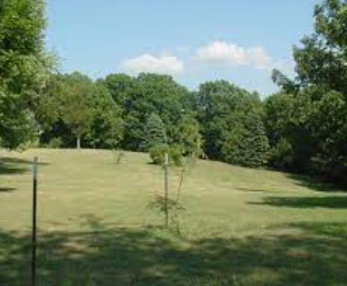 jefferson park green space.