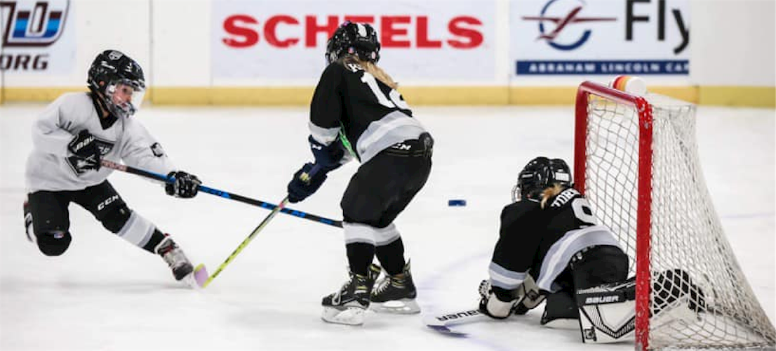 nelson_youth_hockey_banner_img.png